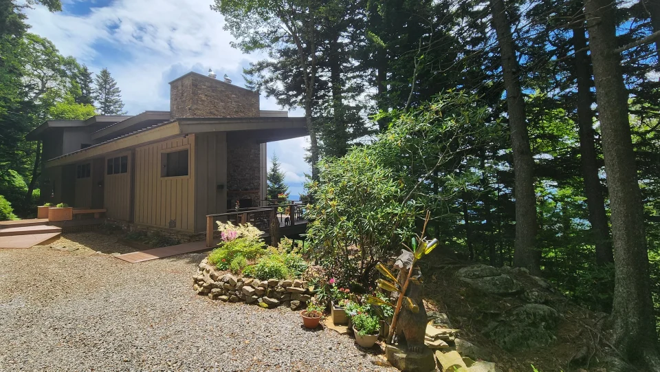 A modern house surrounded by lush trees and greenery on a sunny day. The entrance is lined with potted plants and stone landscaping. A gravel path leads to the front door, and the sky is partly cloudy.